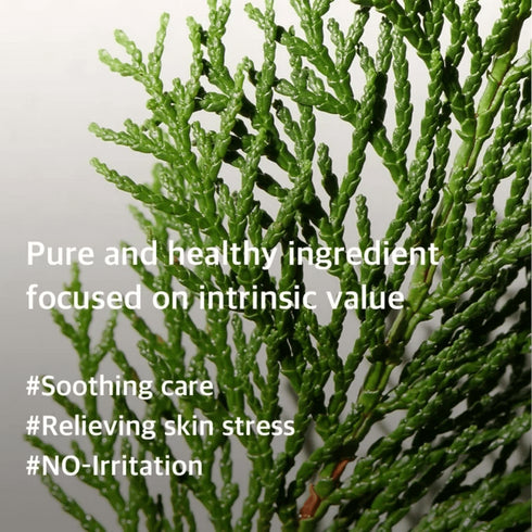 Hinoki Essence 100 ml - WowSkin Romania